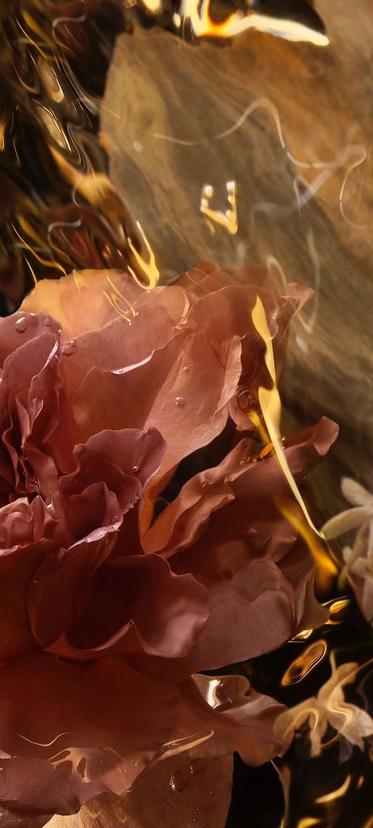 Woody fragrance notes